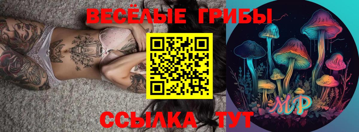 Галлюциногенные грибы Psilocybe  Вход с VPN  Чехов 